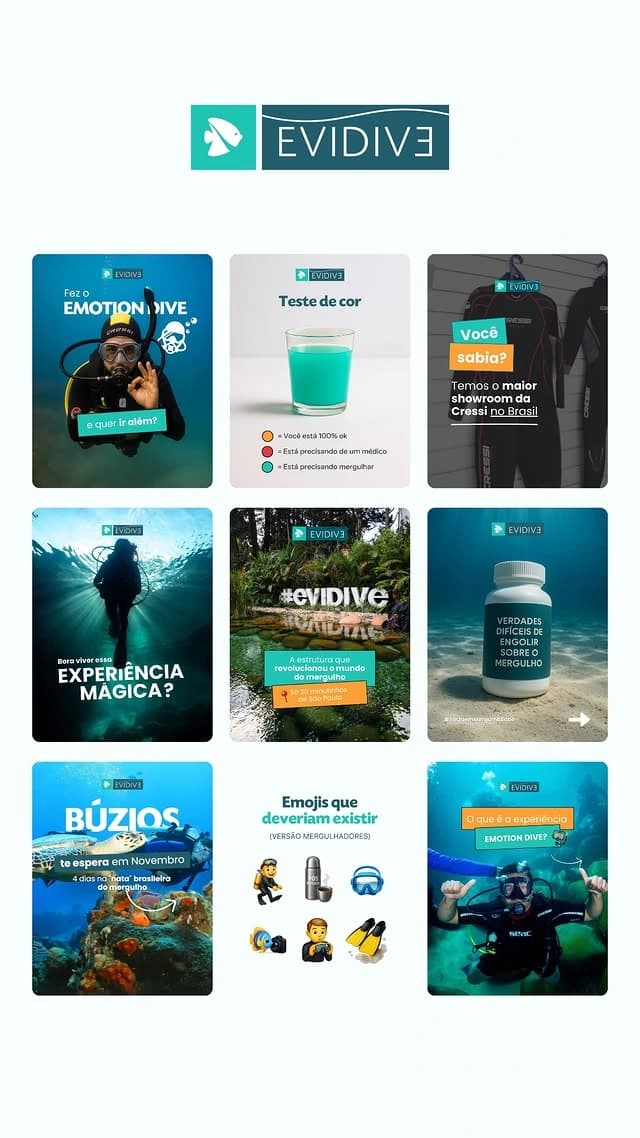 Grid de nove publicações da Evidive
