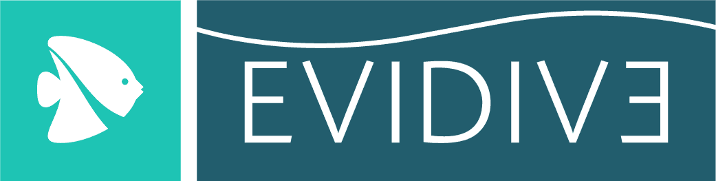 Evidive